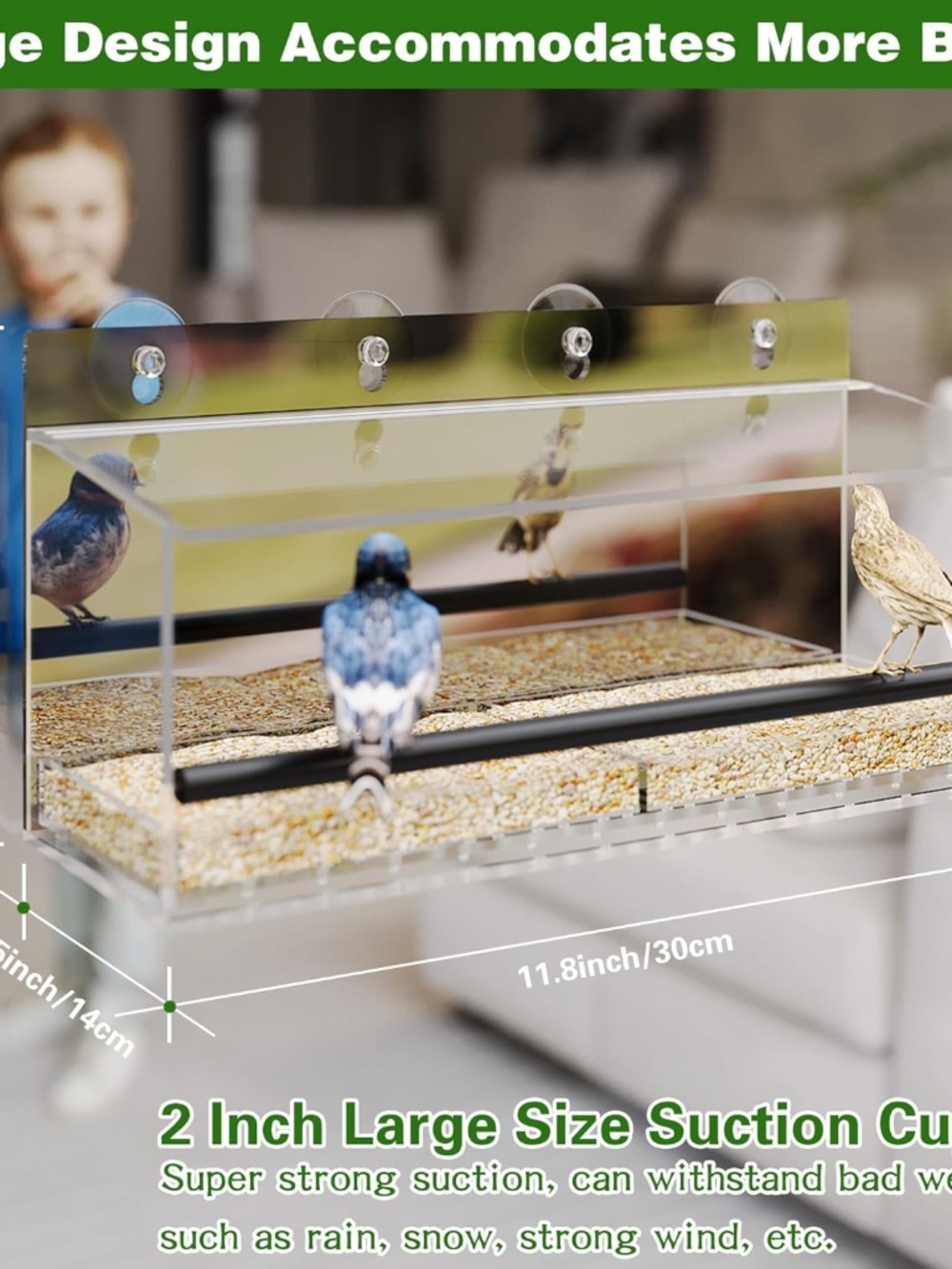 One Way Window Bird Feeder